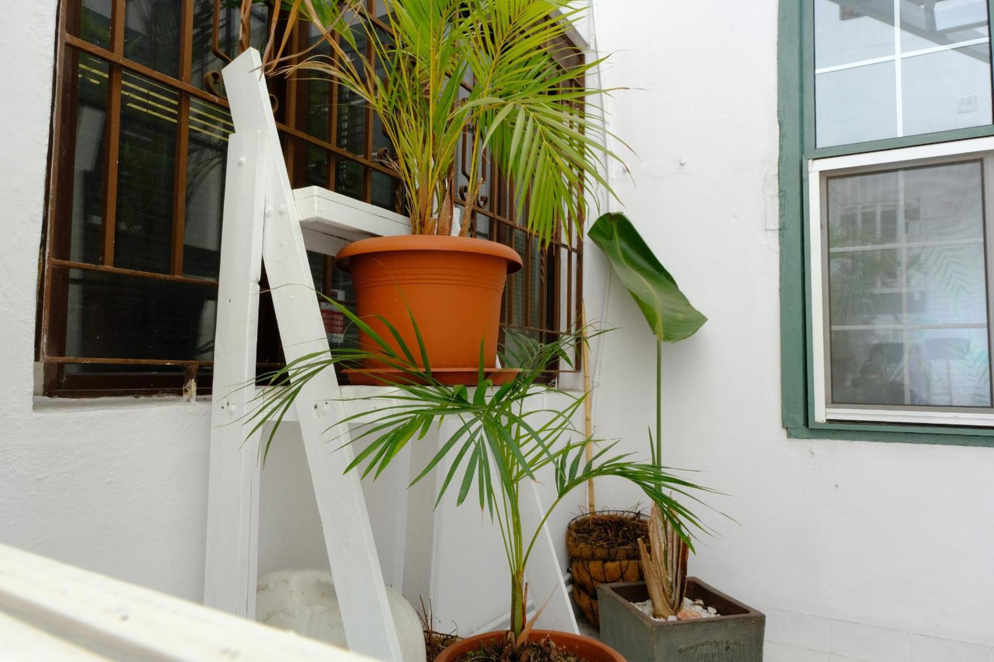 Rooftop Dreamhouse - 3Br With Seaviews Santa Cruz de la Palma  Exterior foto