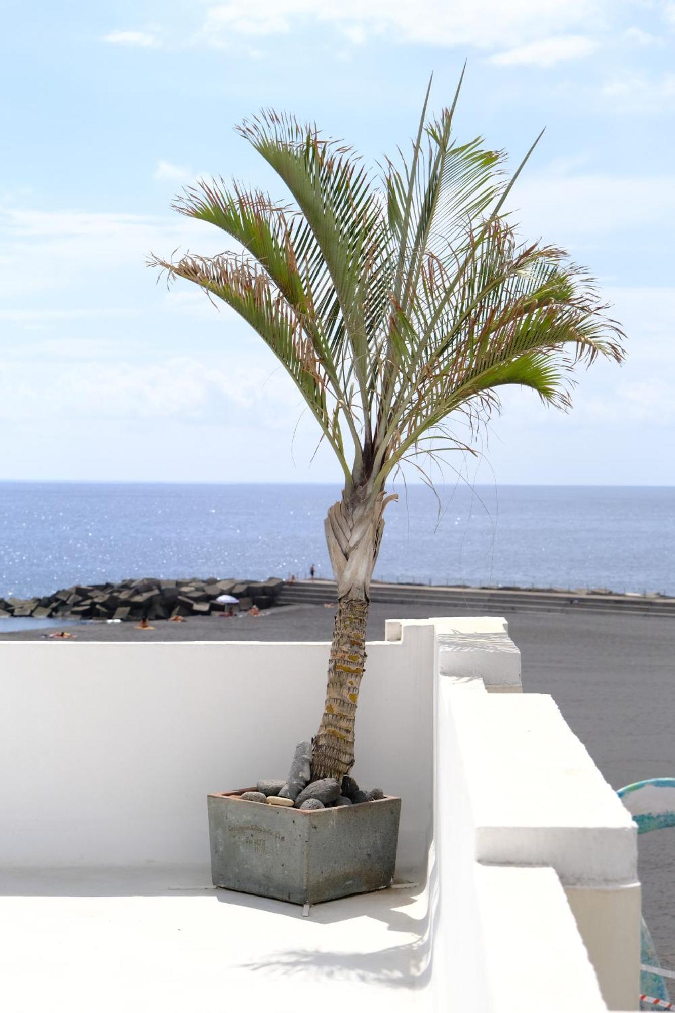 Rooftop Dreamhouse - 3Br With Seaviews Santa Cruz de la Palma  Exterior foto